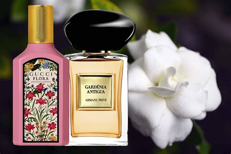 perfumes con aroma a gardenia|best smelling gardenia perfume.